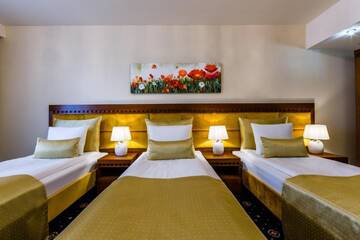 Фото номера Стандартный трехместный номер Отель Grein Hotel г. Жешув 8
