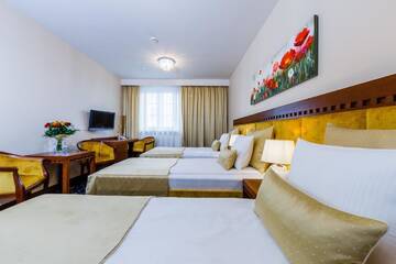 Фото номера Стандартный трехместный номер Отель Grein Hotel г. Жешув 2