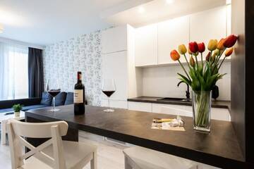 Фото номера Suite Apartment with Air-conditioning Апартаменты EmiHouse Apartamenty г. Жешув 6