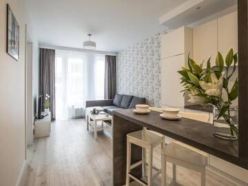 Фото номера Suite Apartment with Air-conditioning Апартаменты EmiHouse Apartamenty г. Жешув 9
