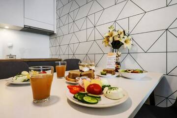 Фото номера Executive Apartment with Air-conditioning Апартаменты EmiHouse Apartamenty г. Жешув 9